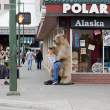Polar Bear Shop, Anchorage