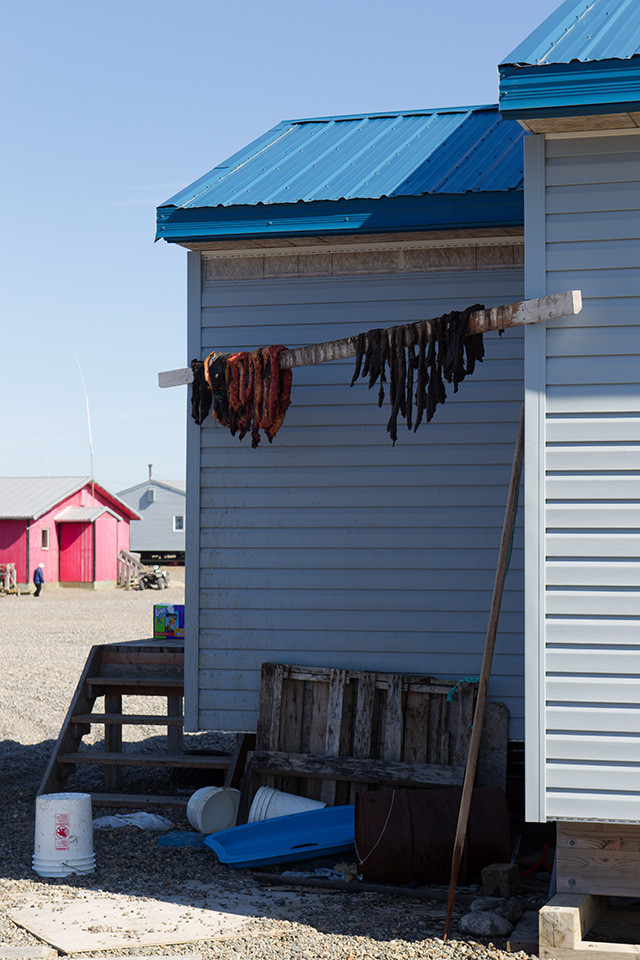 Drying meat.