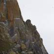 King Island, Alaska. White specks are birds; note birds flying against the sky.