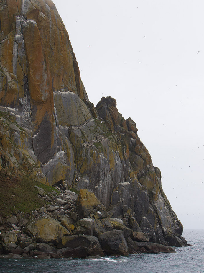 King Island, Alaska. White specks are birds; note birds flying against the sky.