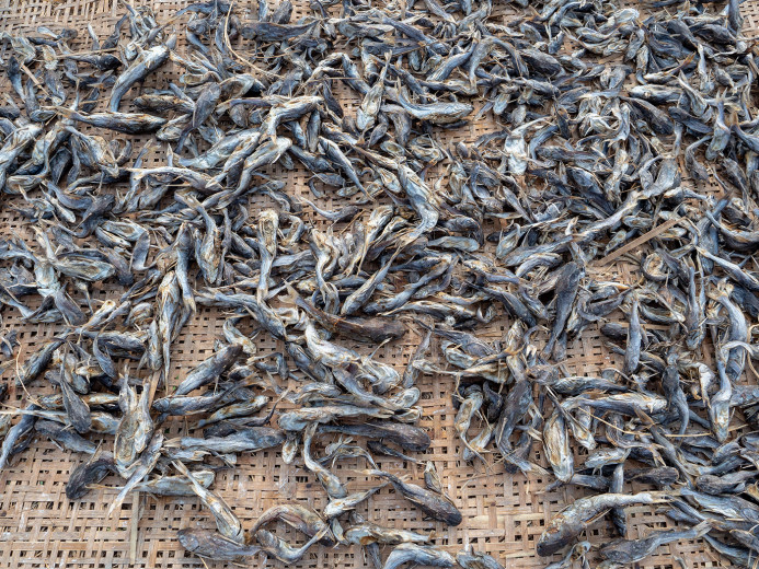 DriedFishOnMat_OM53352