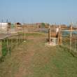 Facilities2_OM53475