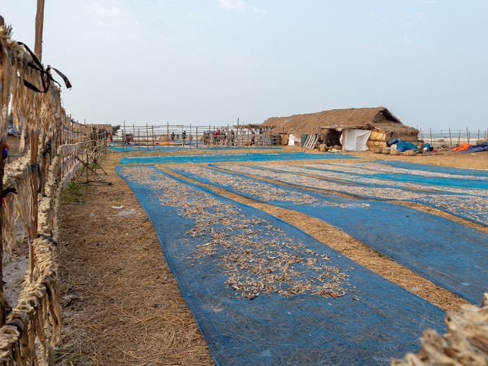 FishDrying2_OM53287
