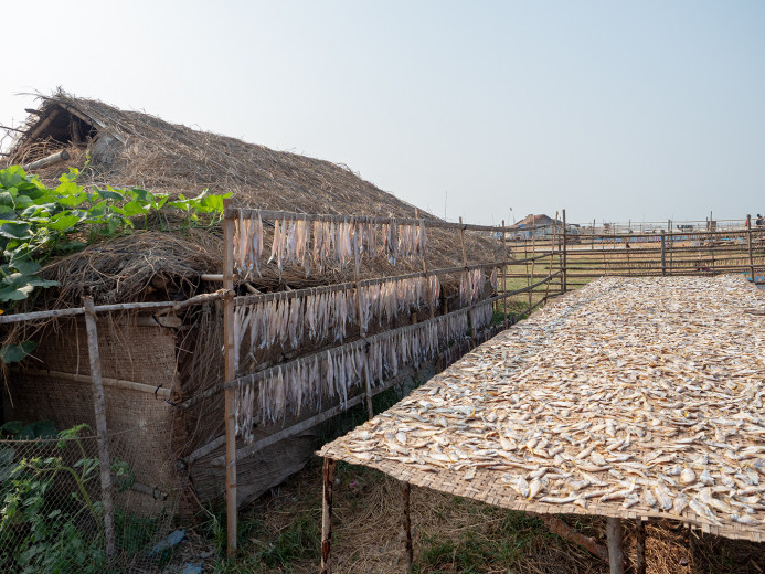 FishDrying3_OM53440