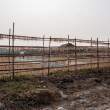 FishDrying_OM53401