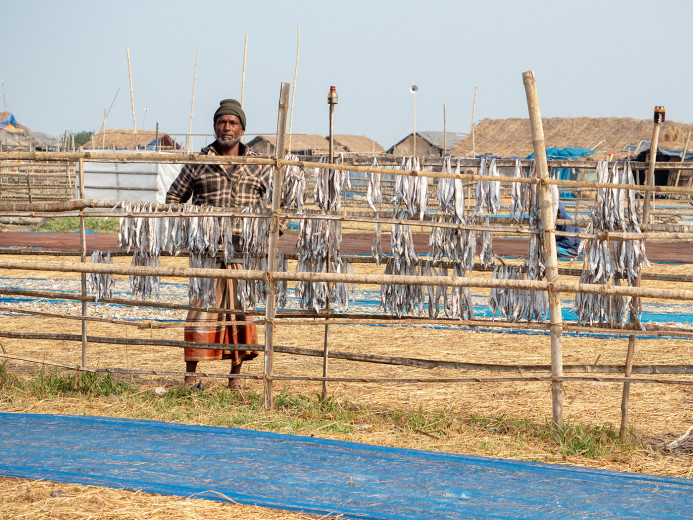Fisherman_OM53466