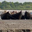 FishingBoats_OM01595