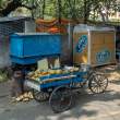 CoconutCart2_OM50304