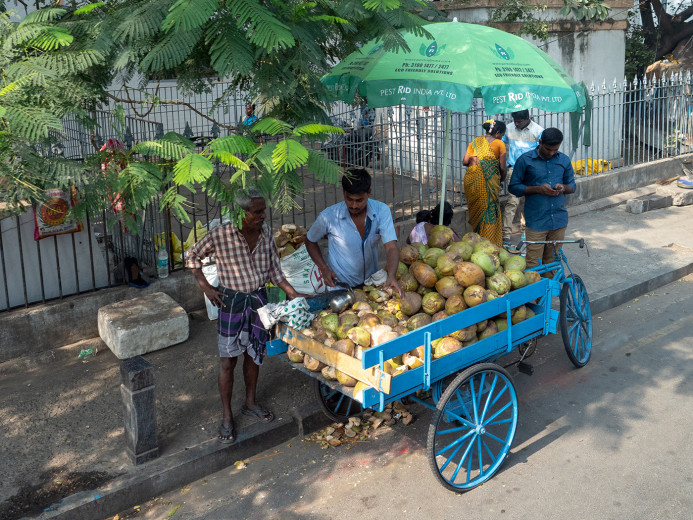 CoconutVendor2_OM50580