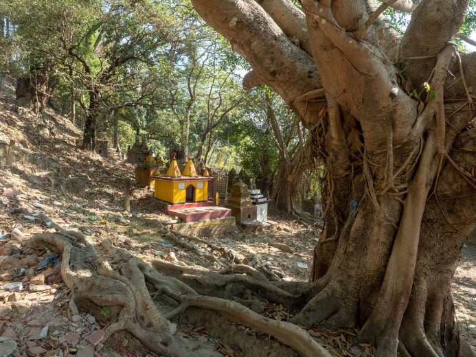 BanyanMonuments_OM53752