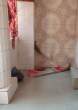 Brooms_OM53718