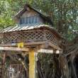 Cage_OM53815