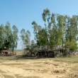 House2_OM53823