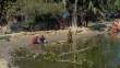 Washing_OM53837