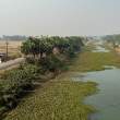 Canal_OM52330