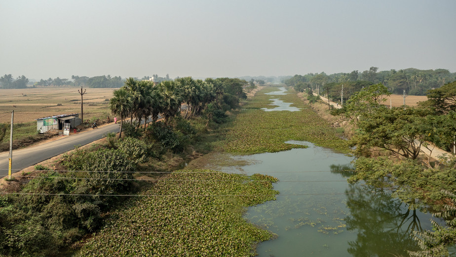 Canal_OM52330
