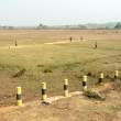 CricketPitch_OM52485