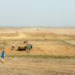 FieldWorkers_OM52380