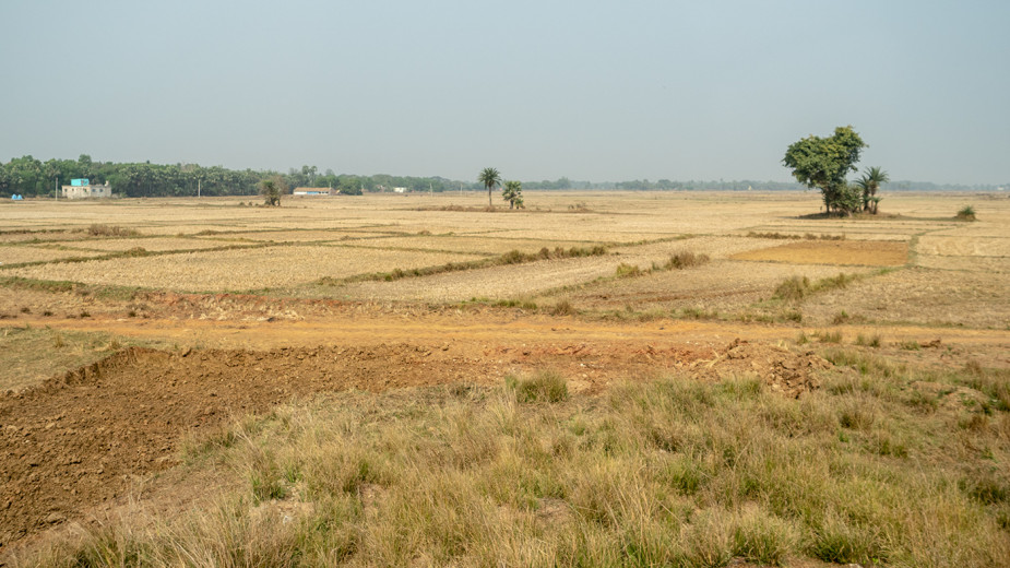 Fields_OM52377
