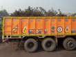 GoldenTruck_OM52224