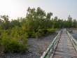 Boardwalk_OM53613
