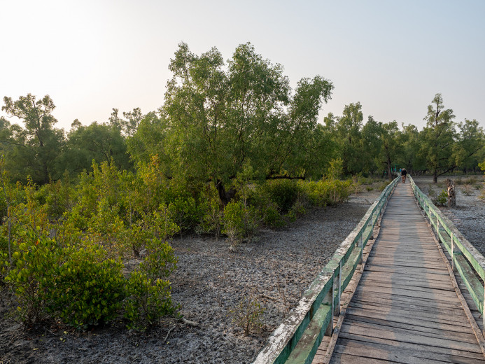 Boardwalk_OM53613