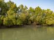 Riverbank_OM53533