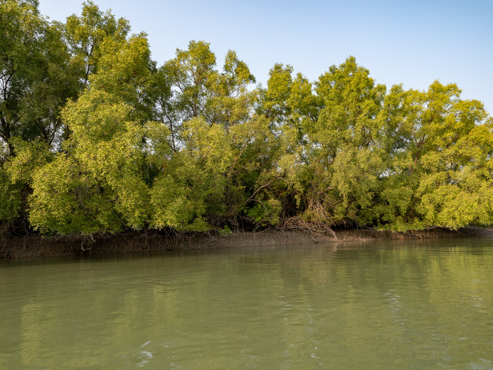 Riverbank_OM53533