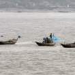 FishermenWithNets_Pasur_OM01164