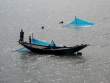 Fishermen_Pasur_OM52924