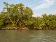 Sundarbans