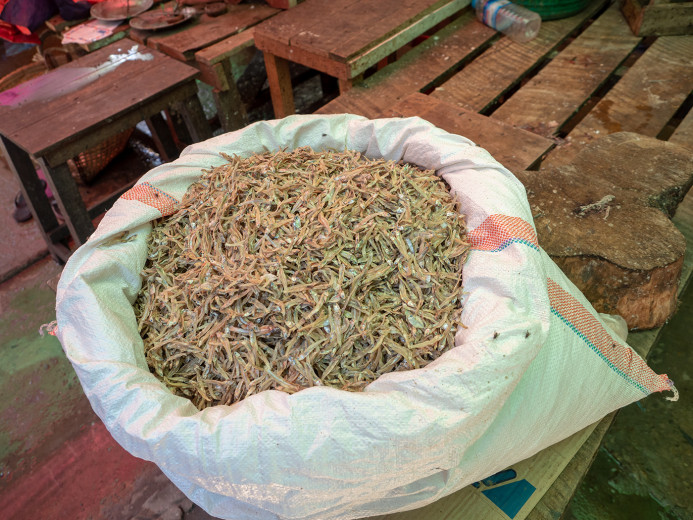 BagOfDriedFish_OM54343