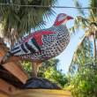 Bird_OM54506