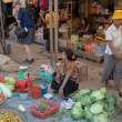 CabbagePhoto_OM54262