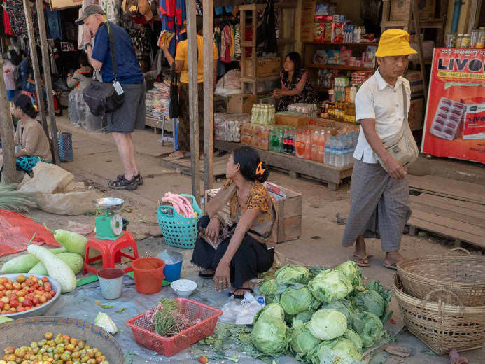 CabbagePhoto_OM54262
