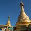 Pagoda_OM54444