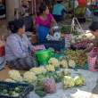 PickingTomatoes_OM54263