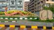 DragonElephant_OM51441