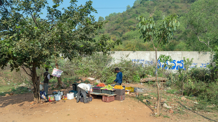 FruitForSale_OM51514