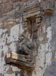 Gargoyle_OM51879