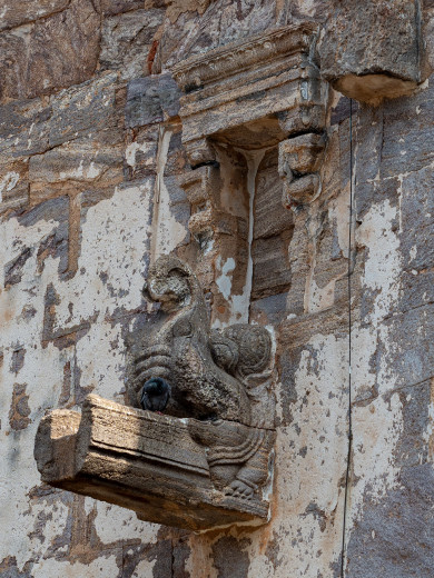 Gargoyle_OM51879