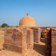 ChaityagrihaStupa_OM51603