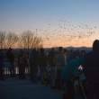 Dawn at the Flight Deck observation point