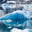 Floating blue ice, Napassorssuaq Fjord, East Greenland
