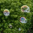SoapBubbles2_M3071