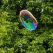 SoapBubbles3_M3068
