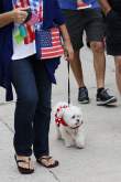 Doggie2_1200_1X13538