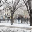 Badame Sessa Triangle Park