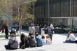 MoMA Sculpture Garden in May