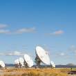 Radio antennas in the Very Large Array